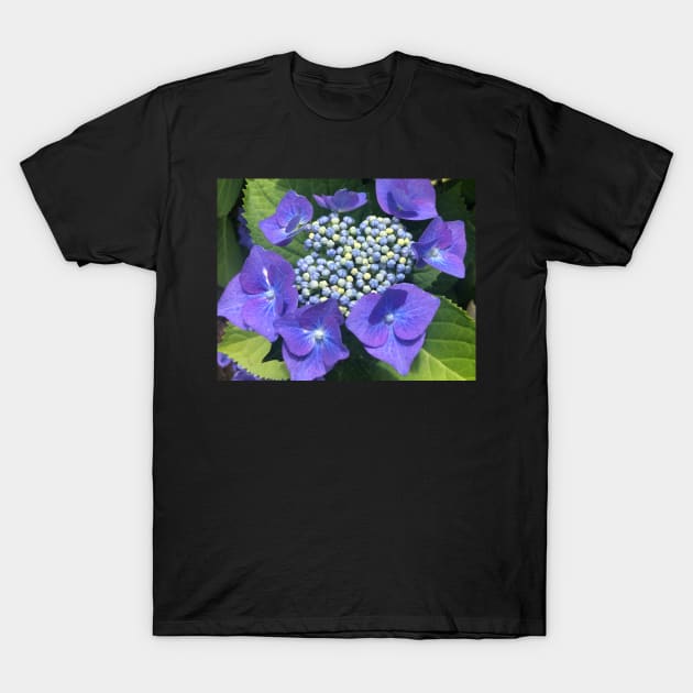 A Perfect Blue Hydrangea Bloom T-Shirt by Photomersion